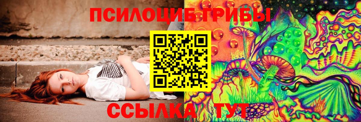 Псилоцибиновые грибы Psilocybe  Галлюциногенные грибы Cubensis  сколько стоит  Джанкой  Вход с VPN 